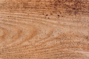 Budget Modular Kitchen